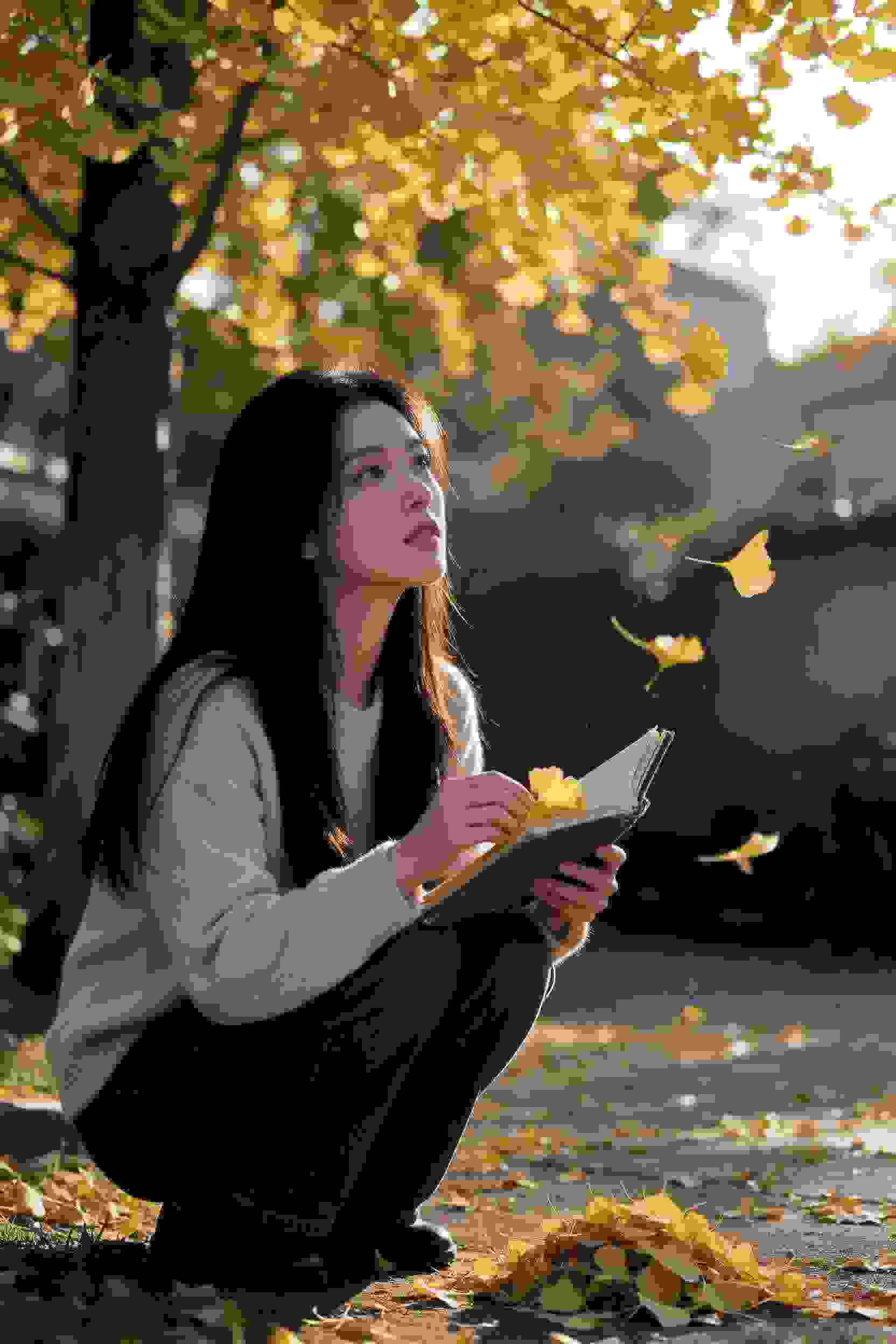 女仆与少爷